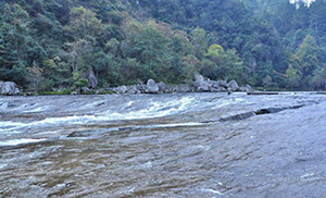 �����ҿ՚������������